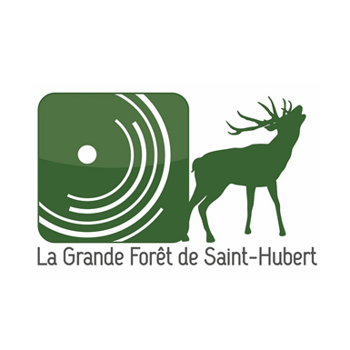 Grande Forêt de Saint-Hubert